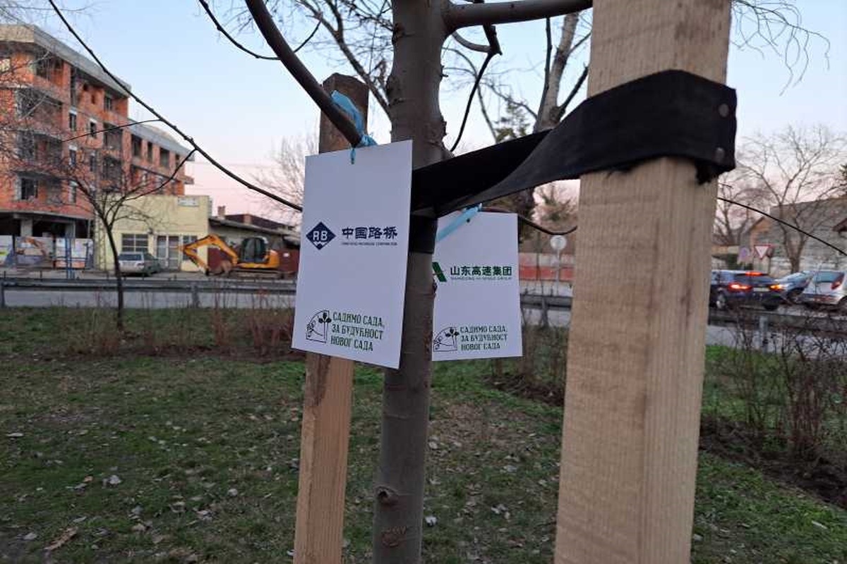 Kineske kompanije i Grad Novi Sad posadili 47 sadnica